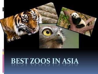 best zoo in asia|Zoos in Asia: A Guide to the Best Zoos and Their .